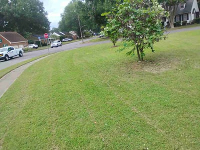 Lawn care service in Chesapeake, 23322