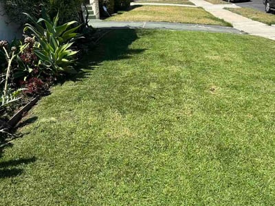 Lawn care service in Los Angeles, 90044