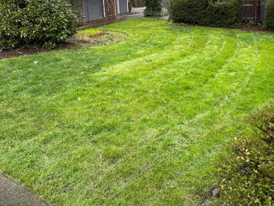 Lawn care service in Beaverton, 97007