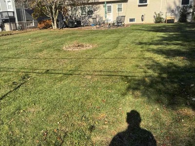 Lawn care service in Oswego, 60543