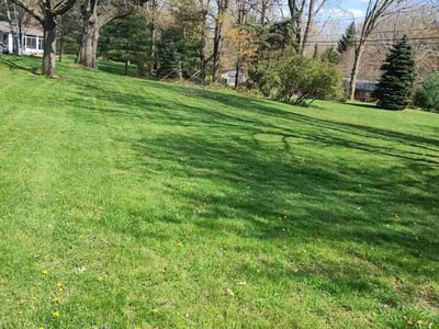 Lawn care service in Rochester Hills, 48309