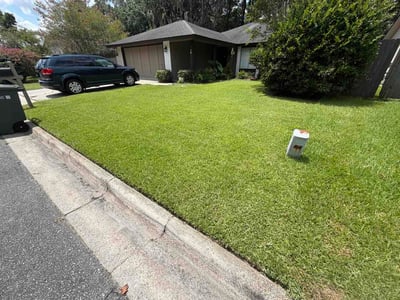 Lawn care service in Savannah, 31419