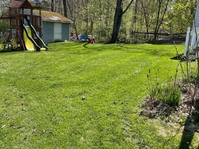 Lawn care service in Meriden, 06451