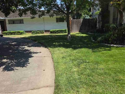 Lawn care service in Elk Grove, 95624