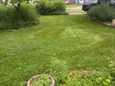 Lawn care service in Cleveland, 44111
