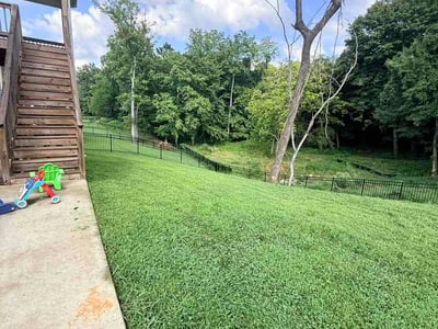 Lawn care service in Clarksville, 37042