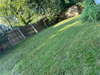 Lawn care service in Louisville, 40205