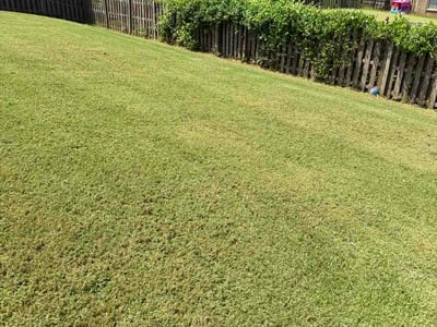 Lawn care service in Madison, 35758