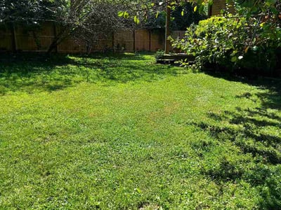 Lawn care service in Asheville, 28803