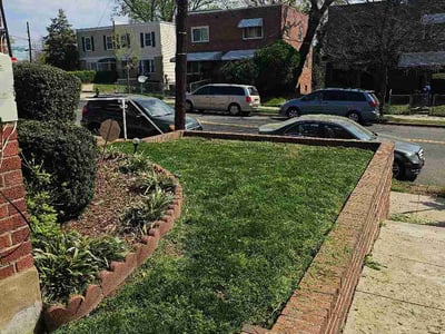 Lawn care service in Washington, 20012
