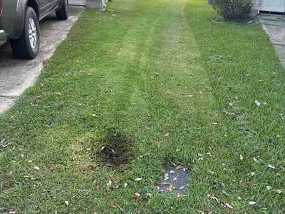 Lawn care service in Humble, 77396