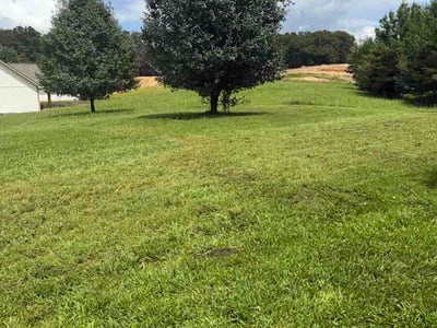 Lawn care service in Soddy-Daisy, 37379