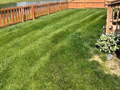 Lawn care service in Cumberland, 46229