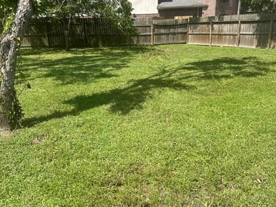 Lawn care service in Highlands, 77562