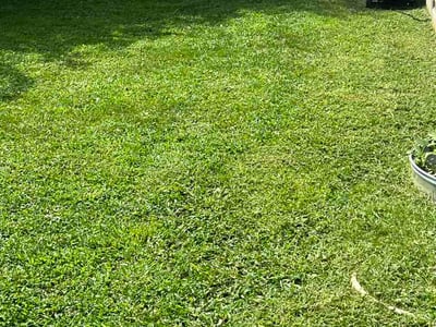 Lawn care service in Dover, 19901