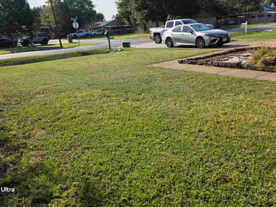 Lawn care service in Grand Prairie, 75051