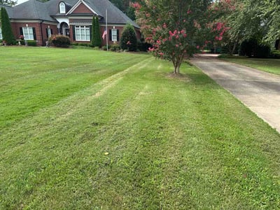 Lawn care service in Mint Hill, 28227