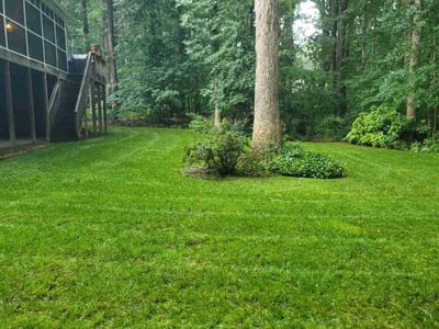 Lawn care service in Richmond, 23238