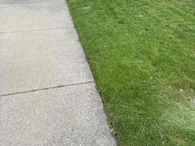 Lawn care service in Sterling Heights, 48313