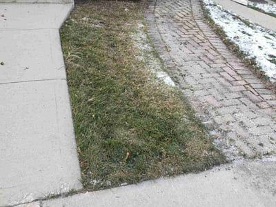 Lawn care service in Chicago, 60632
