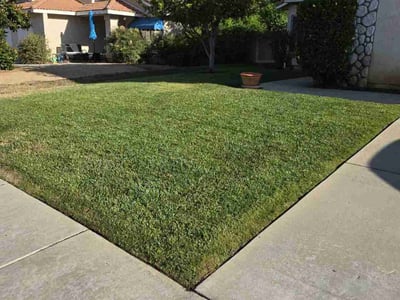 Lawn care service in Moreno Valley, 92553