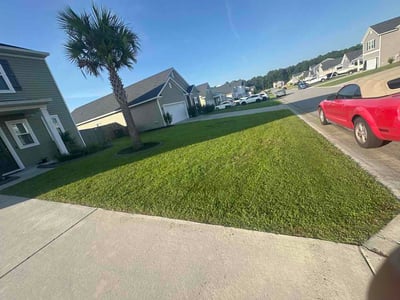 Lawn care service in Moncks Corner, 29461