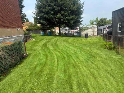 Lawn care service in Pittsburgh, 15206
