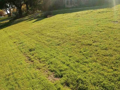 Lawn care service in Fort Worth, 76179