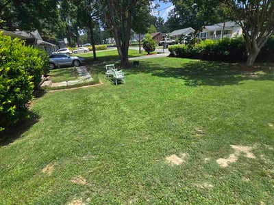Lawn care service in Kannapolis, 28083