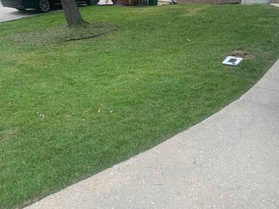 Lawn care service in Tallahassee, 32312