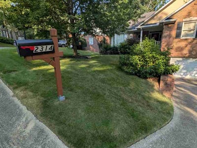 Lawn care service in Birmingham, 35243