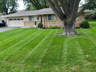 Lawn care service in Minneapolis, 55436
