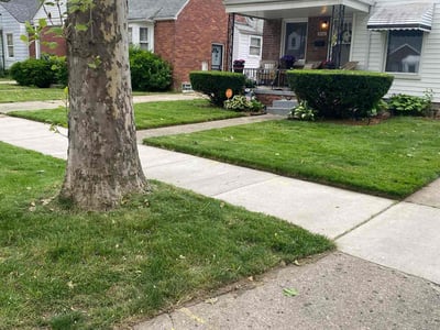 Lawn care service in Detroit, 48228
