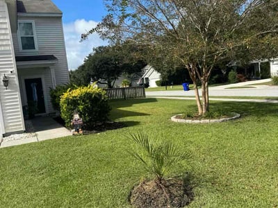 Lawn care service in Johns Island, 29455