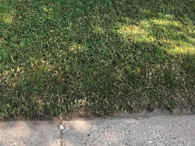 Lawn care service in Minneapolis, 55412