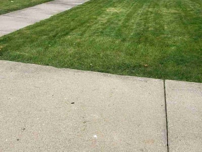 Lawn care service in Canton, 48187