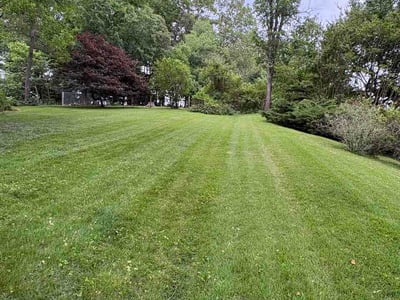 Lawn care service in Rockville, 20855