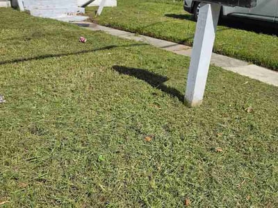 Lawn care service in Jacksonville, 32209