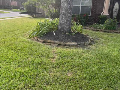 Lawn care service in Humble, 77396