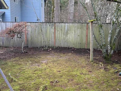 Lawn care service in , 