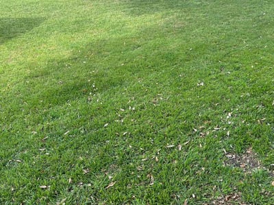 Lawn care service in San Antonio, 78259