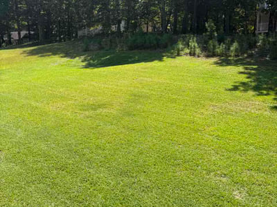 Lawn care service in Canton, 30114