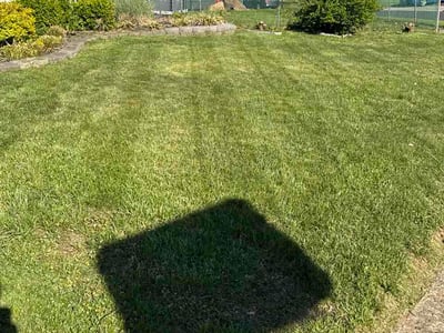 Lawn care service in Levittown, 19055