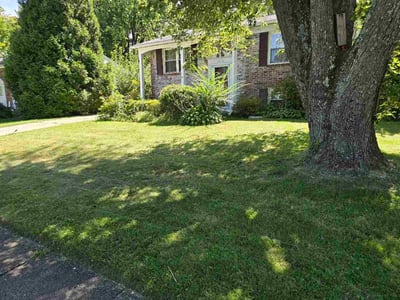 Lawn care service in Edgewood, 21040