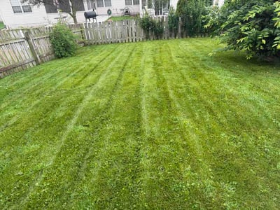 Lawn care service in Schererville, 46375