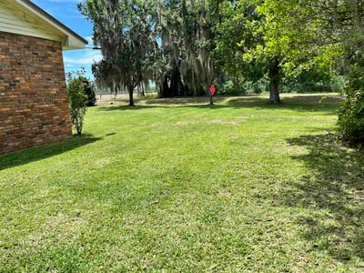 Lawn care service in Pelham, 31779