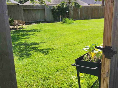 Lawn care service in Spring, 77379