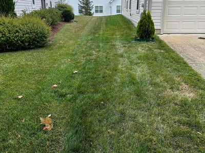 Lawn care service in White Plains, 20695