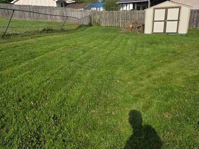 Lawn care service in Hurricane, 25526