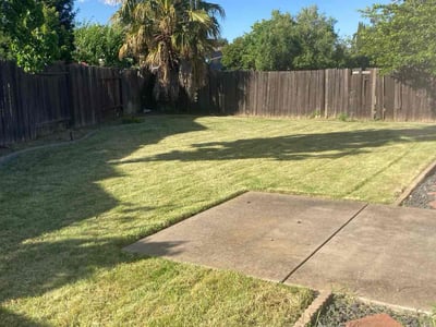 Lawn care service in Elk Grove, 95758